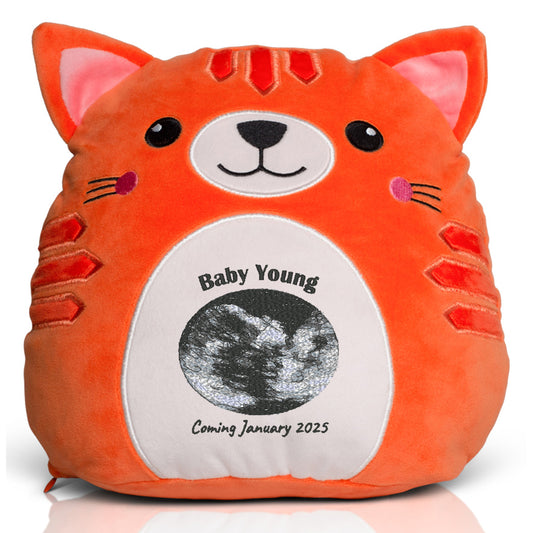 Pregnancy Announcement Ginger Cat