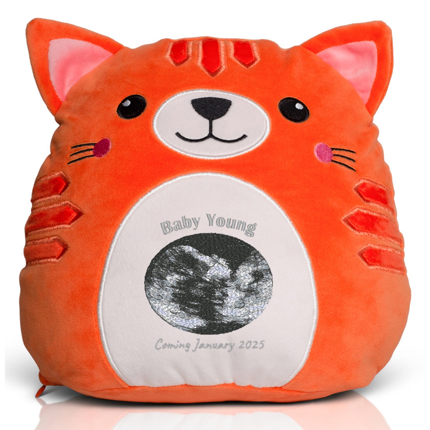 Pregnancy Announcement Ginger Cat