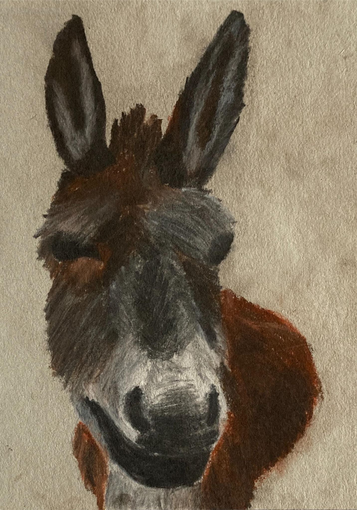 Titch designs chalk donkey 
