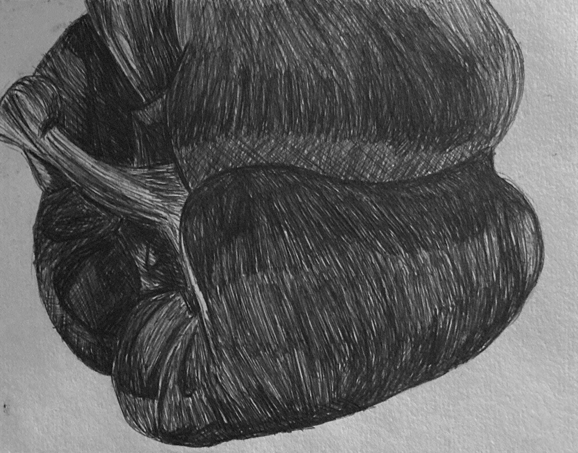Titch designs pepper biro sketch 