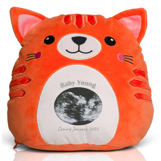 Pregnancy Announcement Ginger Cat