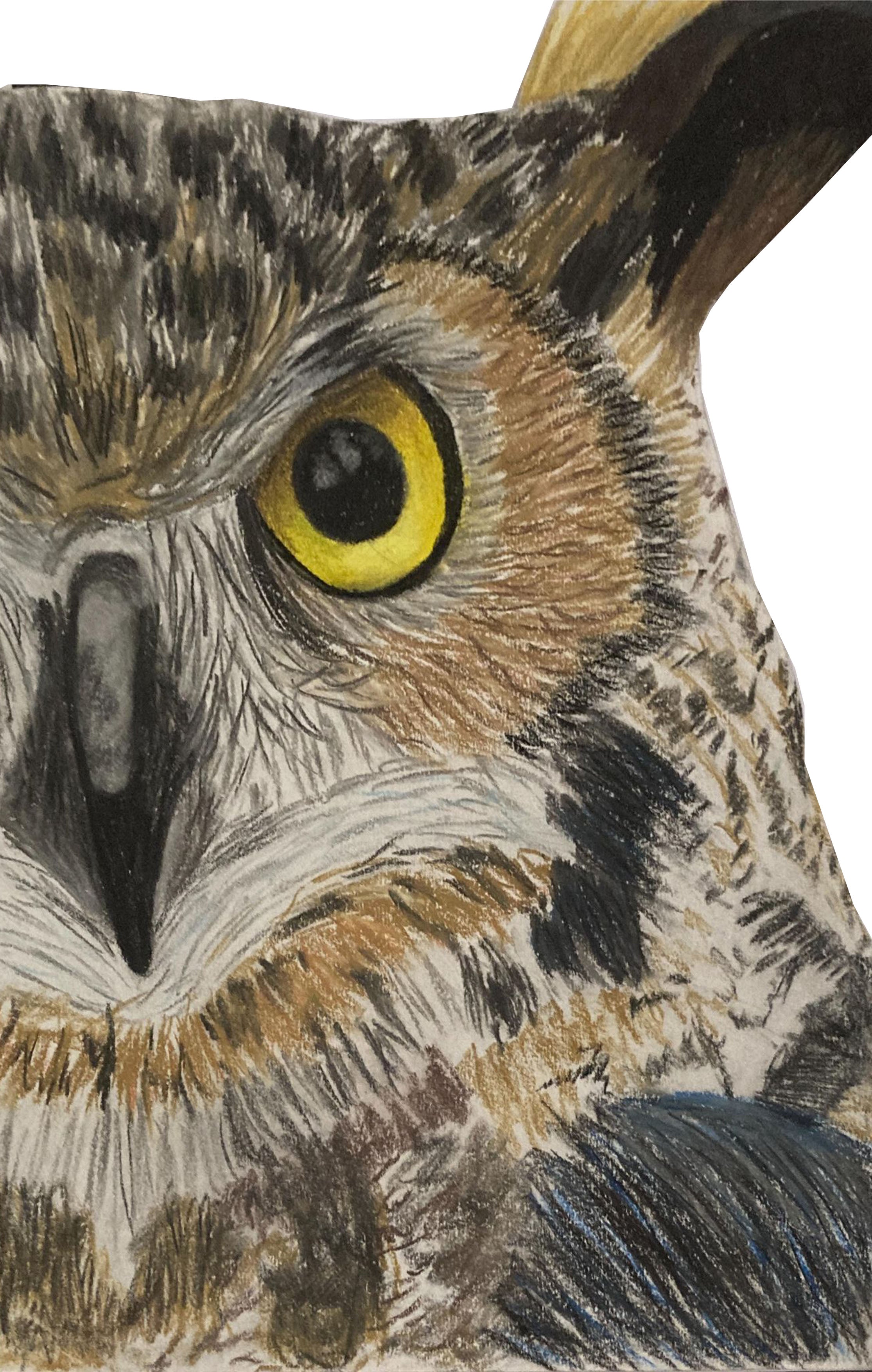 Titch designs chalk owl