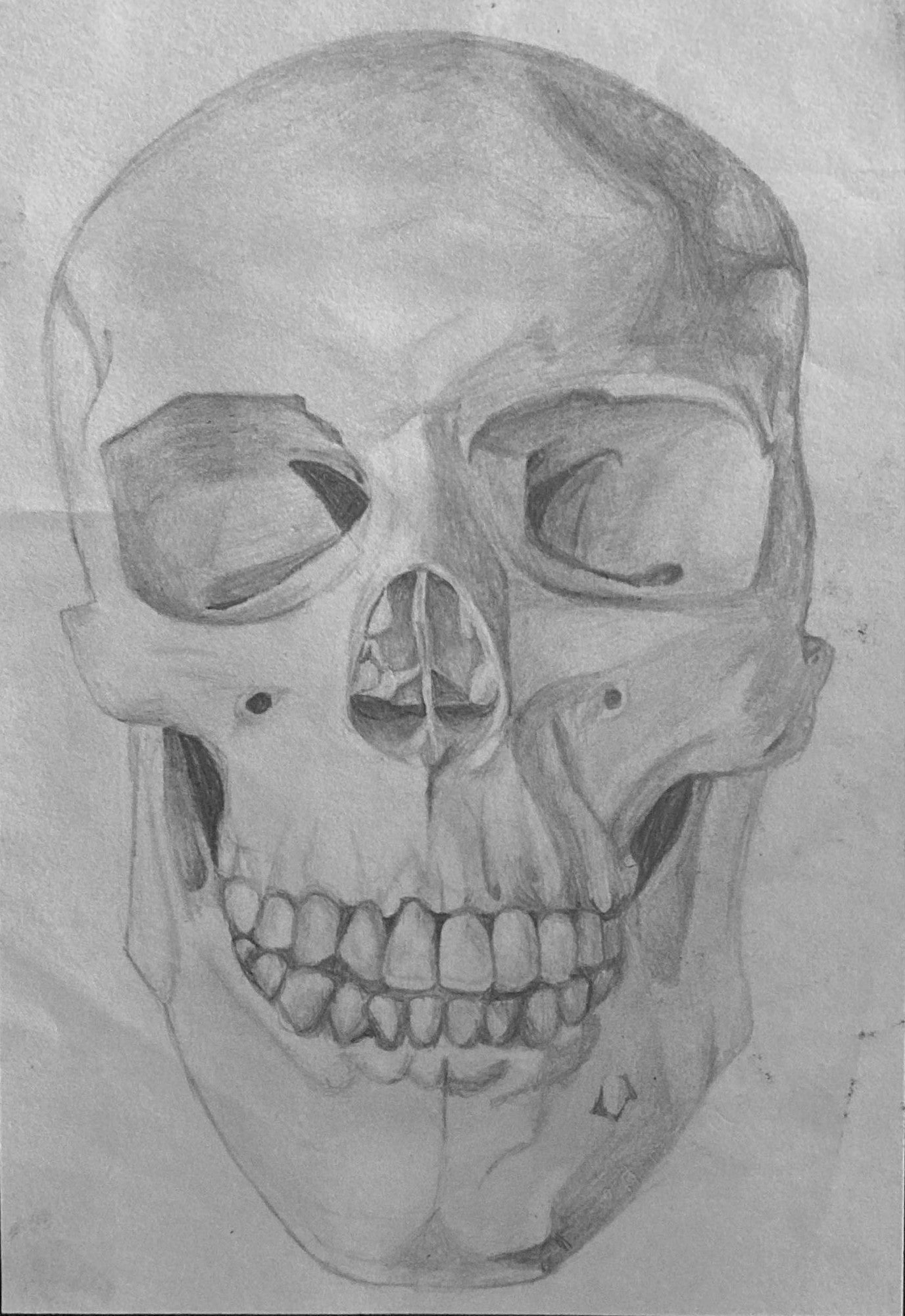 Titch designs skull sketch 