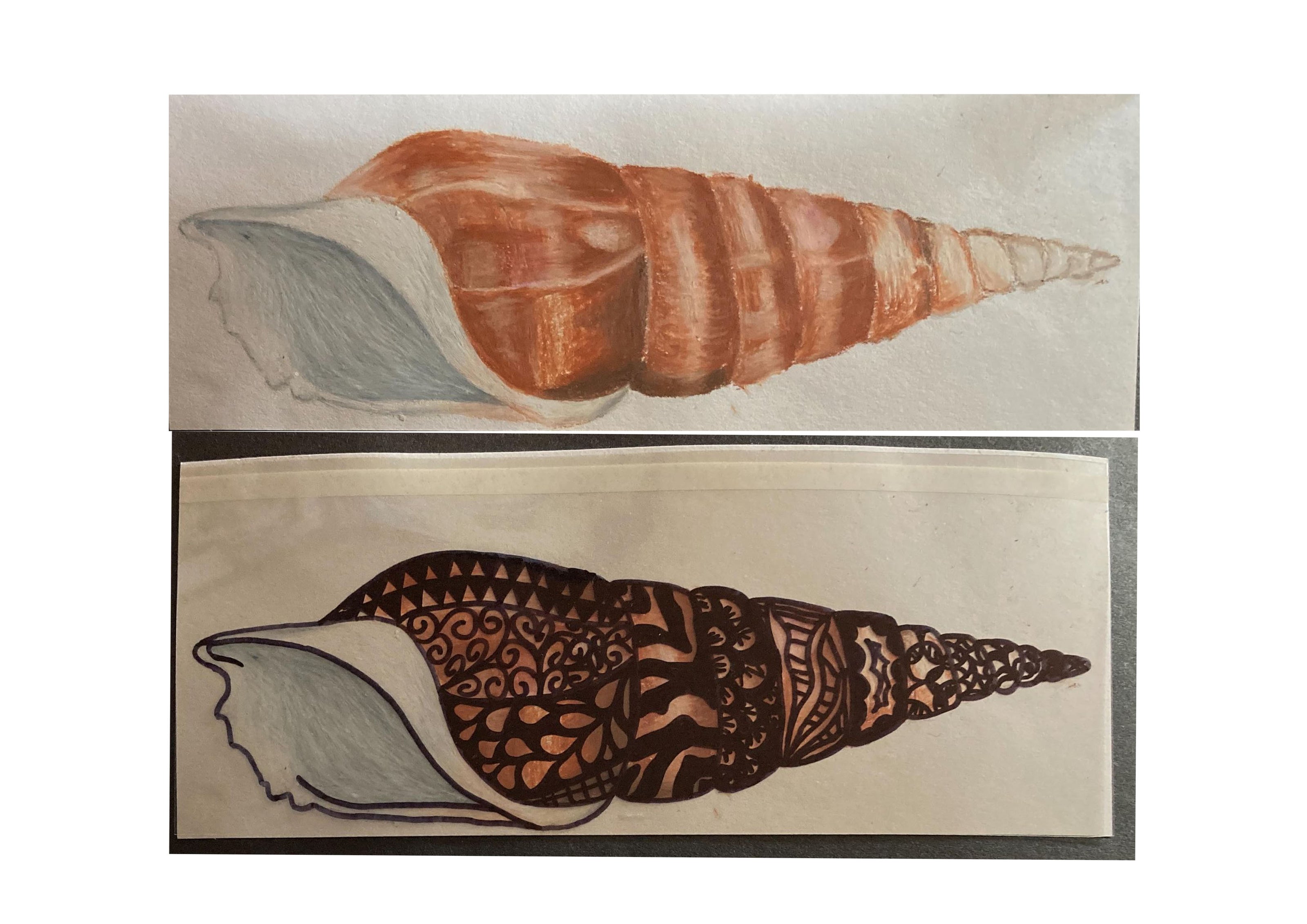 Titch designs wax oil shell