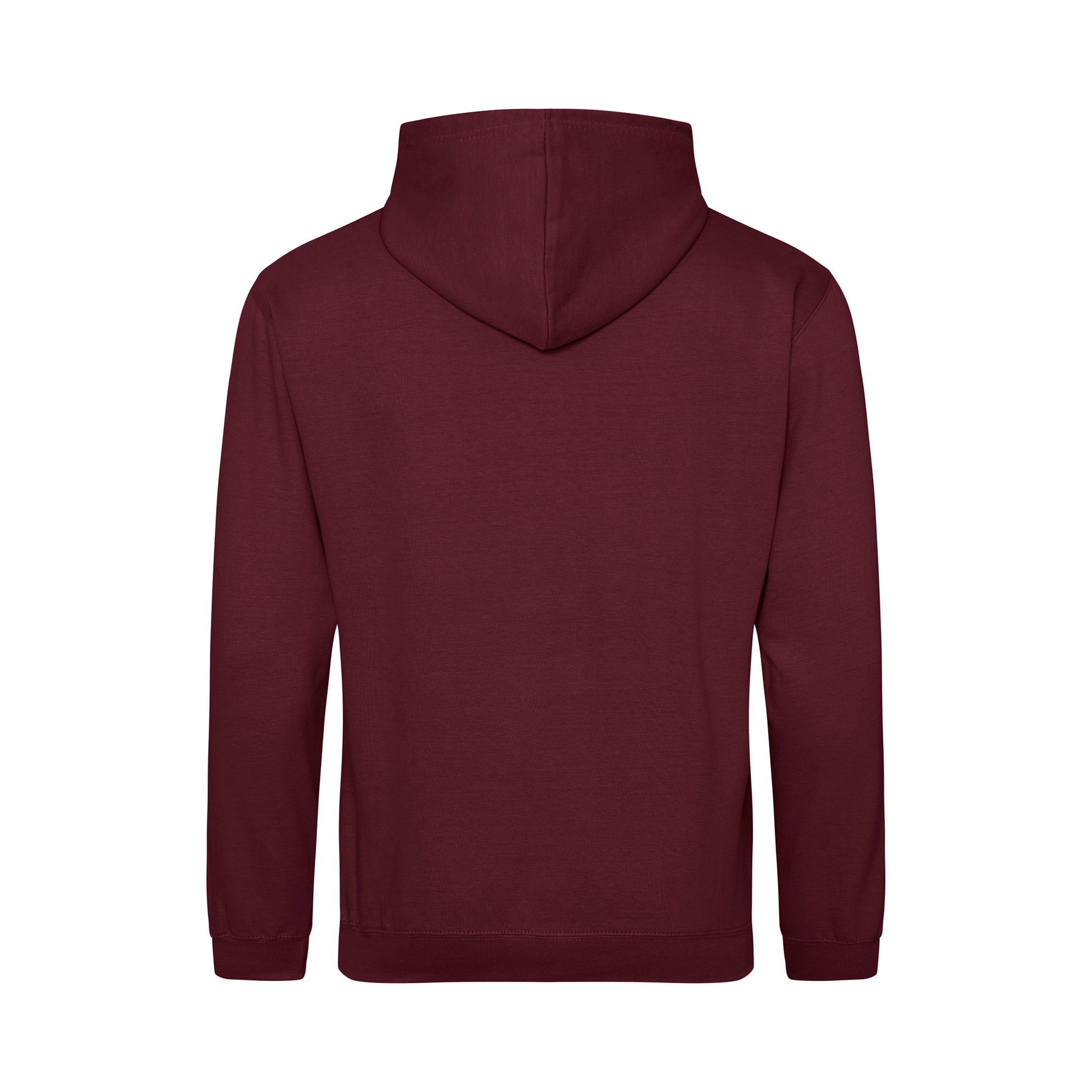 hoodie back view