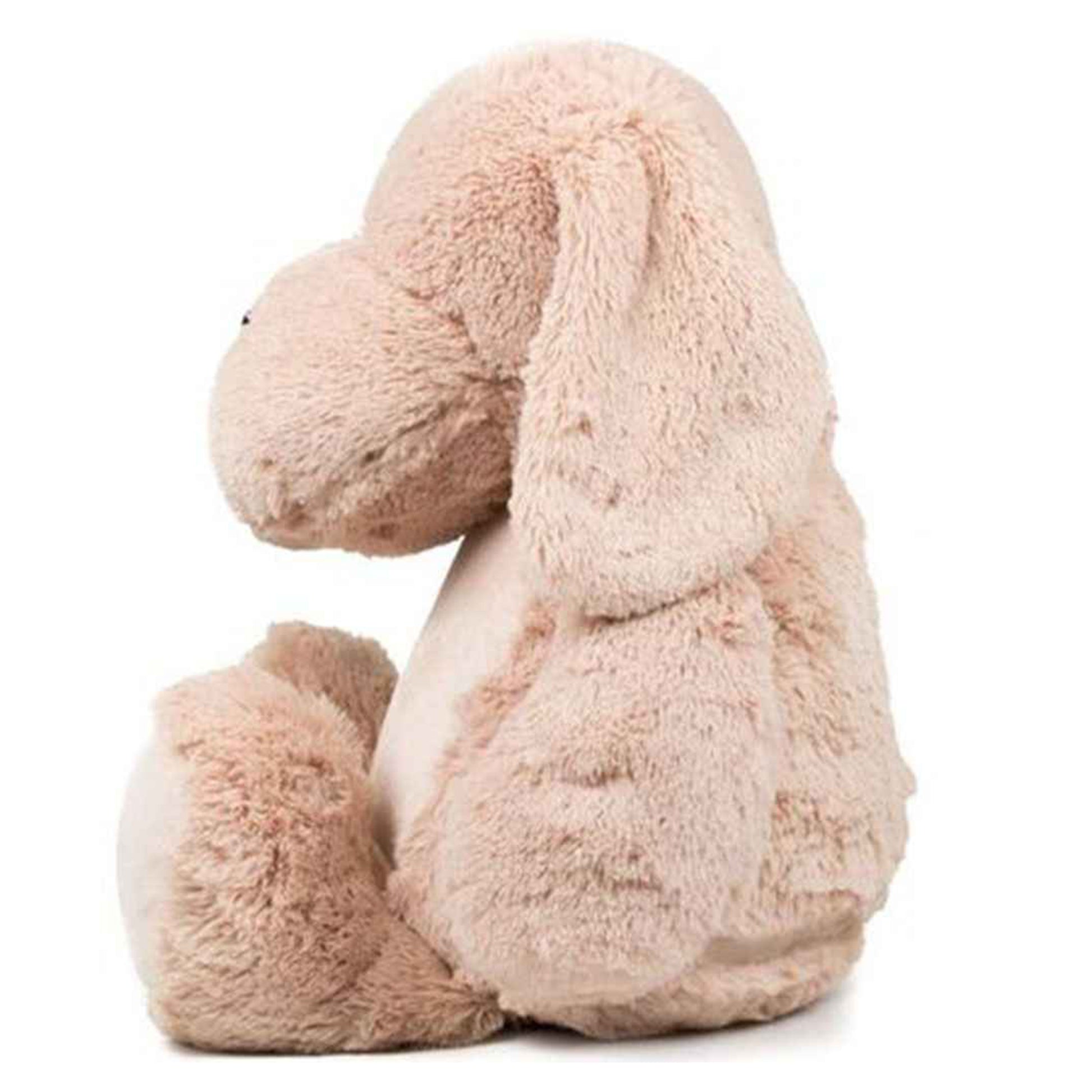 dog side view